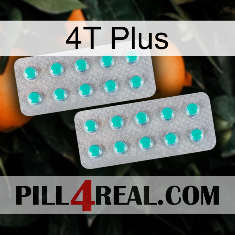 4T Plus 29